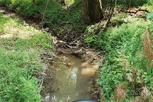 1115 John Short Rd, Indian Land, SC 29707 - Photo 36