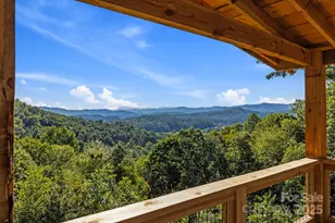 658 Johnson Rd, Brevard, NC 28712 - Photo 34