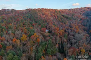 658 Johnson Rd, Brevard, NC 28712 - Photo 46