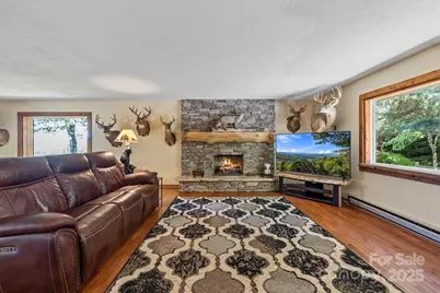 658 Johnson Road, Brevard, NC 28712 - Photo 16