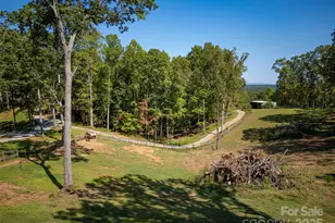 250 Burt Blackwell Rd, Mill Spring, NC 28756 - Photo 46