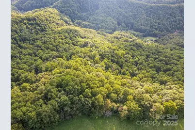 000 Crackin Chestnut Lane, Sylva, NC 28779 - Photo 1