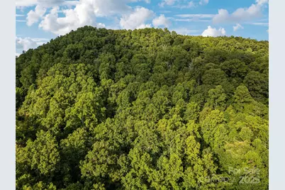 000 Crackin Chestnut Lane, Sylva, NC 28779 - Photo 4