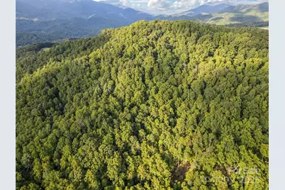 000 Crackin Chestnut Lane, Sylva, NC 28779 - Photo 2