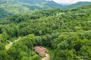 695 Chestnut Mountain Rd, Canton, NC 28716 - Photo 48