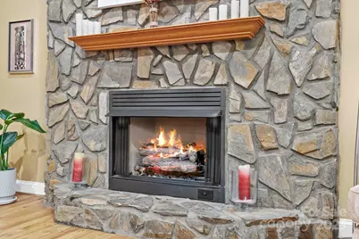 458 Bluemist Way, Arden, NC 28704 - Photo 10