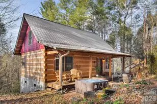 110 Gunter Town Rd, Marshall, NC 28753 - Photo 2