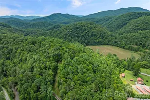 110 Gunter Town Rd, Marshall, NC 28753 - Photo 46