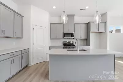 8662 Miles Gap Road, Indian Land, SC 29707 - Photo 2