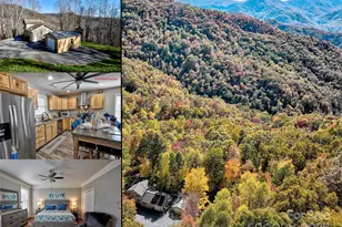 1333 Pigeon Creek Rd, Bryson City, NC 28713 - Photo 1