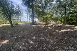 3396 Thompson Rd, Lancaster, SC 29720 - Photo 8