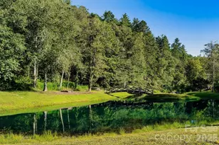 65 Sky Vista Ln, Hendersonville, NC 28792 - Photo 40