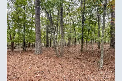 253 Nors Way, Lake Lure, NC 28746 - Photo 28