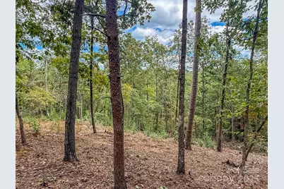 253 Nors Way, Lake Lure, NC 28746 - Photo 30