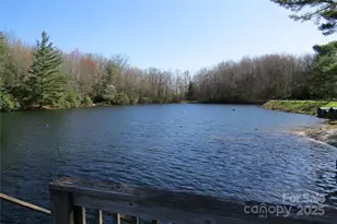 210 Ballard Rd, Brevard, NC 28712 - Photo 40