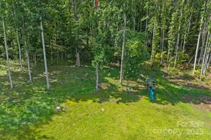 85 Carolina Ln, Burnsville, NC 28714 - Photo 24