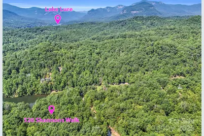 526 Shannons Walk, Lake Lure, NC 28746 - Photo 4