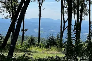 462 E Gdn Trl, Hendersonville, NC 28792 - Photo 1