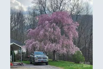 98 Cardinal Lane, Burnsville, NC 28714 - Photo 30