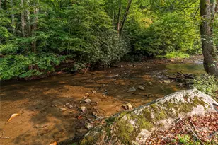 9781 Nc 209 Hwy, Hot Springs, NC 28743 - Photo 34