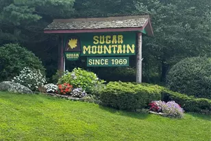 175 Ridgeview Rd, Sugar Mountain, NC 28604 - Photo 20