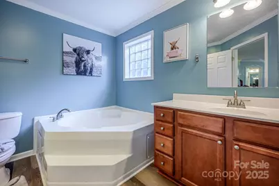 114 Harness Lane, Mocksville, NC 27028 - Photo 18