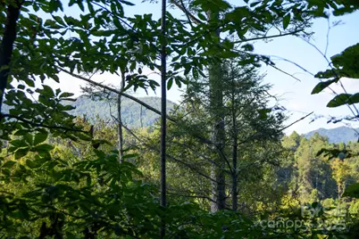 2340 Twin Poplars Lane, Lenoir, NC 28645 - Photo 8