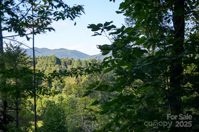 2340 Twin Poplars Lane, Lenoir, NC 28645 - Photo 6