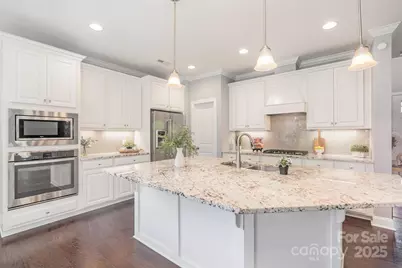 13203 Horned Lark Drive, Charlotte, NC 28278 - Photo 4