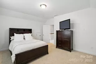 13203 Horned Lark Dr, Charlotte, NC 28278 - Photo 22