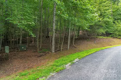 377 Harborside Drive #245, Nebo, NC 28761 - Photo 10