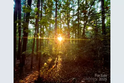 0 Broyles Road, Hendersonville, NC 28791 - Photo 1