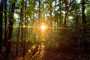 0 Broyles Rd, Hendersonville, NC 28791 - Photo 1