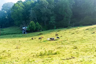 44 Jenkins Road, Waynesville, NC 28785 - Photo 12