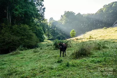 44 Jenkins Road, Waynesville, NC 28785 - Photo 10