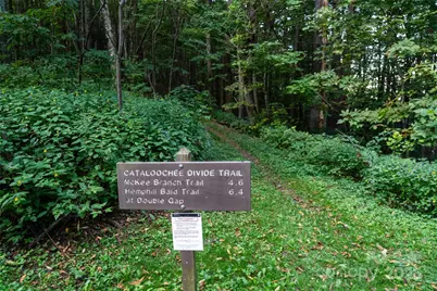 44 Jenkins Road, Waynesville, NC 28785 - Photo 32