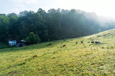 44 Jenkins Road, Waynesville, NC 28785 - Photo 8