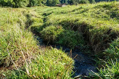 44 Jenkins Road, Waynesville, NC 28785 - Photo 30