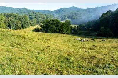 44 Jenkins Road, Waynesville, NC 28785 - Photo 4