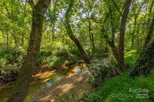 2305 Rutherford Rd, Marion, NC 28752 - Photo 36