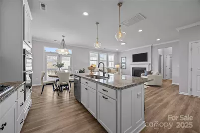 16124 Fieldstone Trace, Charlotte, NC 28278 - Photo 8