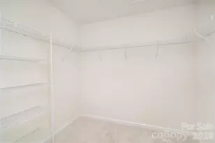 1528 Spring Blossom Trail, Fort Mill, SC 29708 - Photo 18