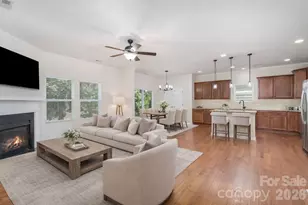 1528 Spring Blossom Trail, Fort Mill, SC 29708 - Photo 8