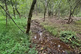 3485 Cedar Circle Rd, Lancaster, SC 29720 - Photo 10