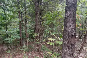 3485 Cedar Circle Rd, Lancaster, SC 29720 - Photo 26