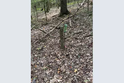 3485 Cedar Circle Road, Lancaster, SC 29720 - Photo 32