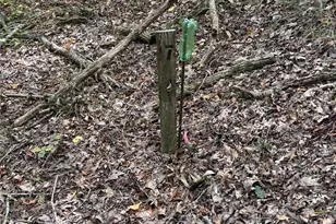 3485 Cedar Circle Rd, Lancaster, SC 29720 - Photo 32