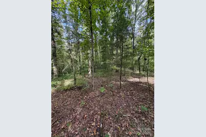 3485 Cedar Circle Road, Lancaster, SC 29720 - Photo 30