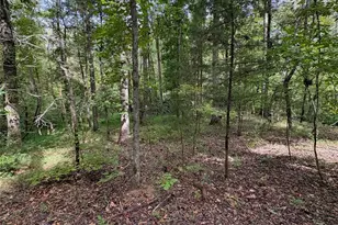 3485 Cedar Circle Rd, Lancaster, SC 29720 - Photo 30