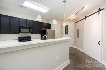 1101 W 1st Street #101, Charlotte, NC 28202 - Photo 4